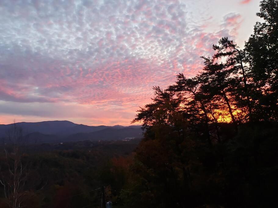세비어빌 Yogi'S Den: Breathtaking Views! 3 Min To Dollywood, On 1 Acre! 빌라 외부 사진