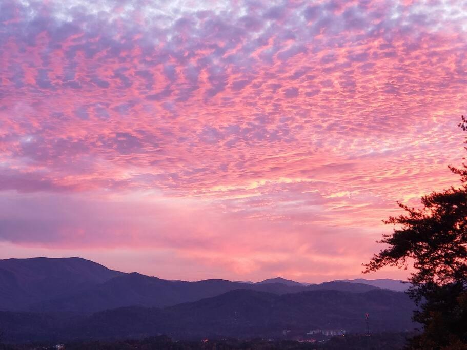 세비어빌 Yogi'S Den: Breathtaking Views! 3 Min To Dollywood, On 1 Acre! 빌라 외부 사진